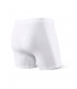 Producto 2